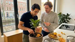 Sinaasappelschil in de potgrond: zo gebruik je het zonder schimmel of stank